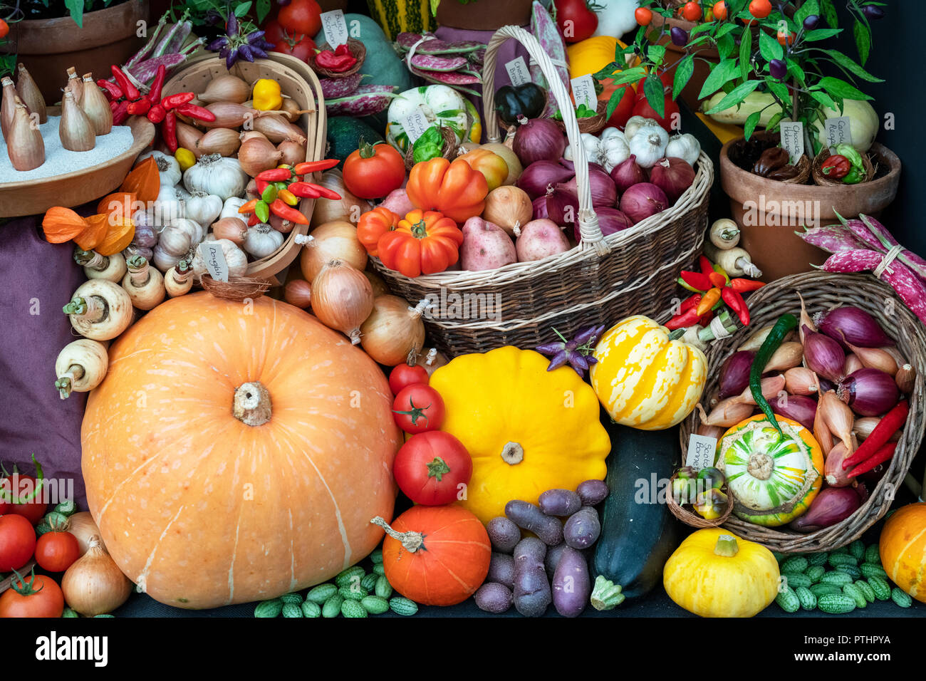 Colourful autumnal vegetable display at an Autumn show. UK Stock