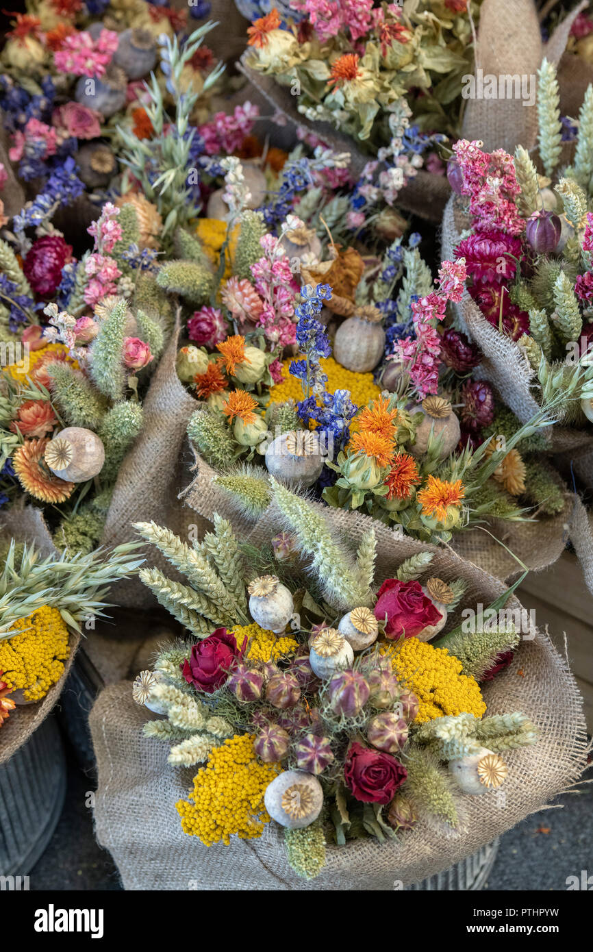 Colourful dried flower bouquets. Floral display. England Stock Photo
