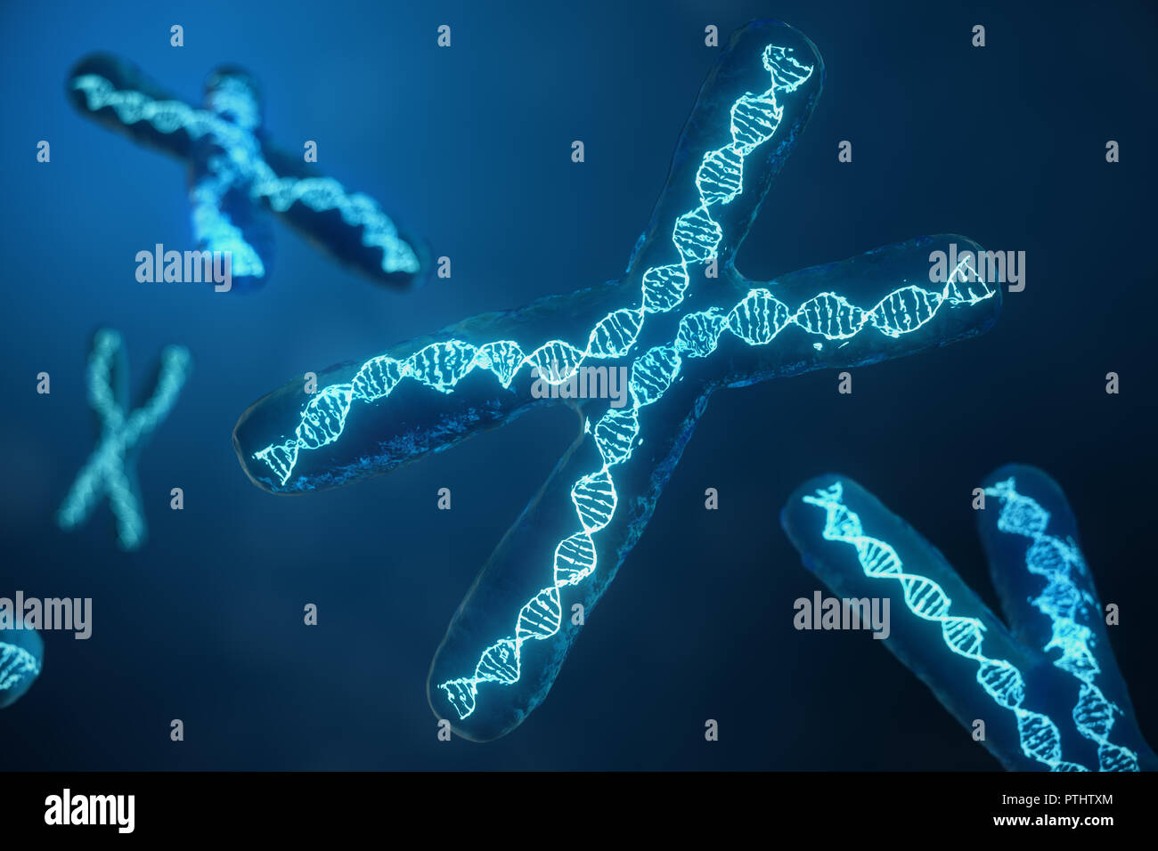 3D illustration X-Chromosomes with DNA carrying the genetic code. Genetics concept, medicine concept. Future, genetic mutations. Changing the genetic code at the biological level. Stock Photo
