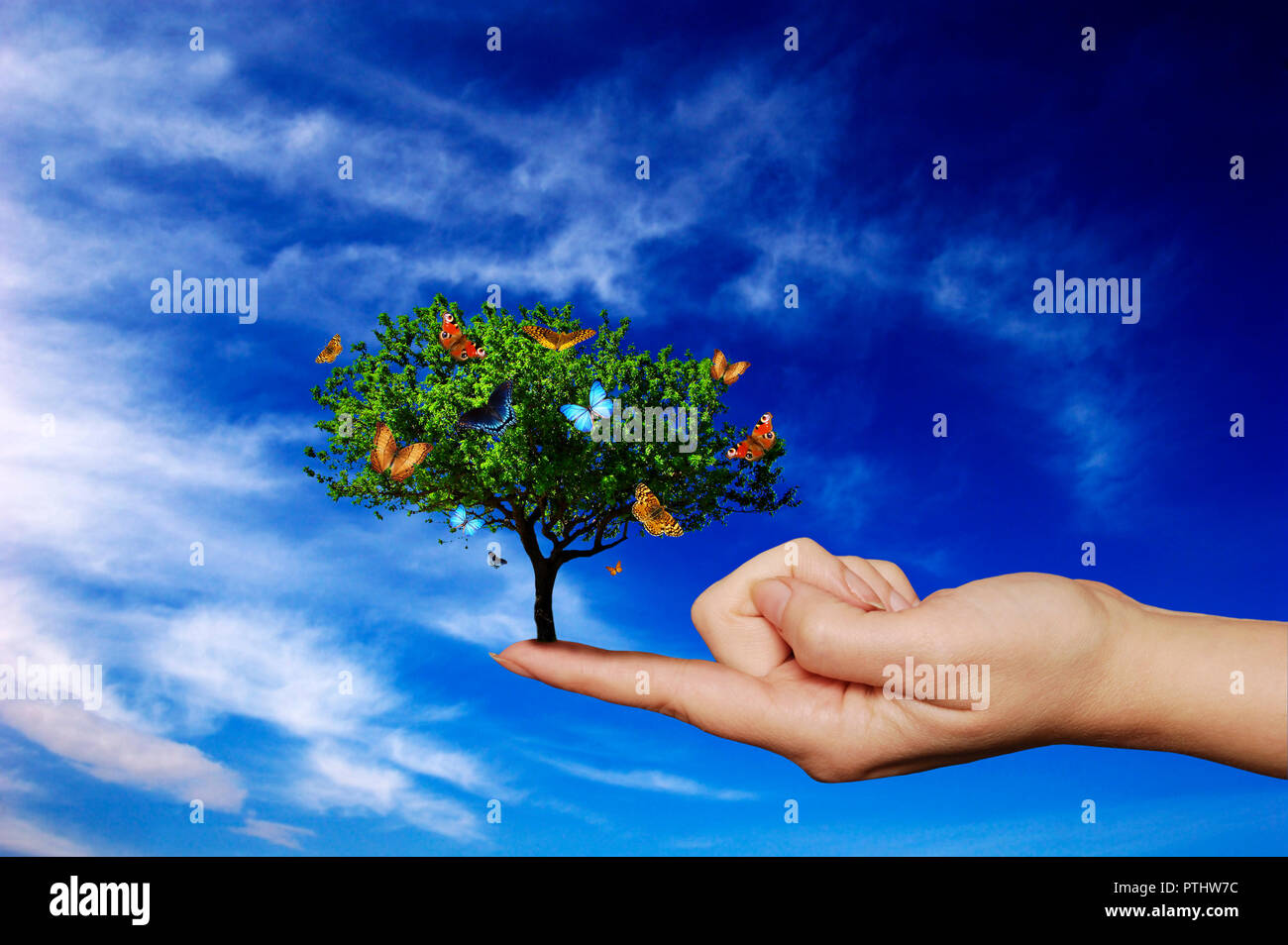 female finger holding a tree with butterflies, environment protection concept Stock Photo