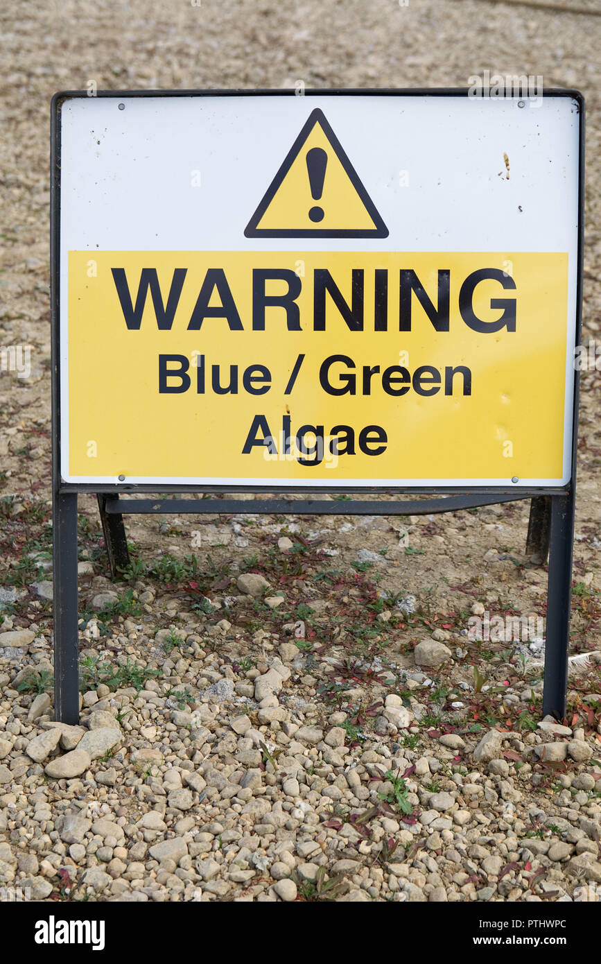 WARNING Blue / Green Algae sign with black text on yellow background ...