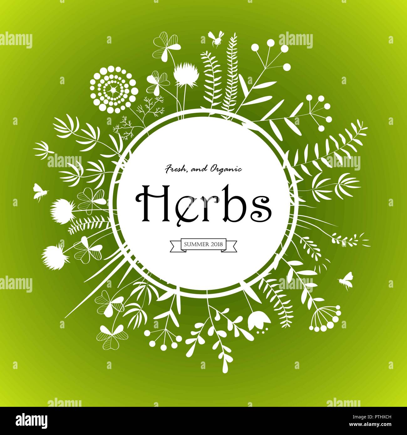 Herbal background vector vectors hi-res stock photography and images - Alamy