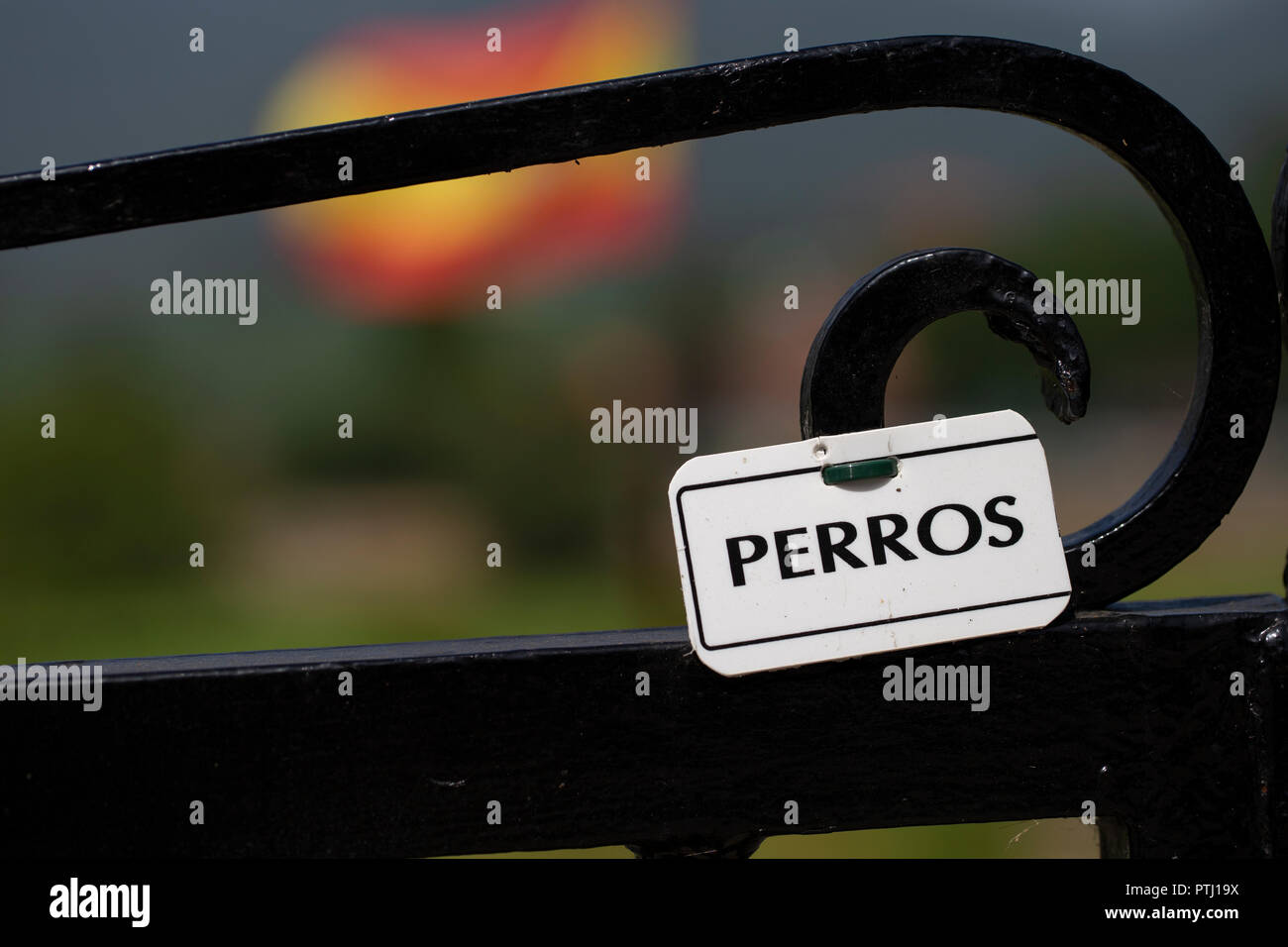 Dogs in spanish language Stock Photo Alamy