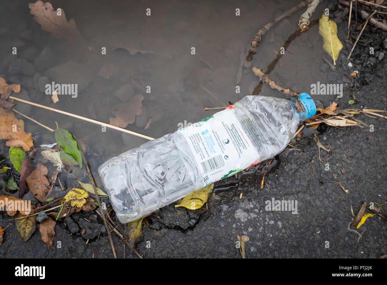 Discarded plastic bottle lying beside a puddle, showing careless disregard for the environment. Stock Photo