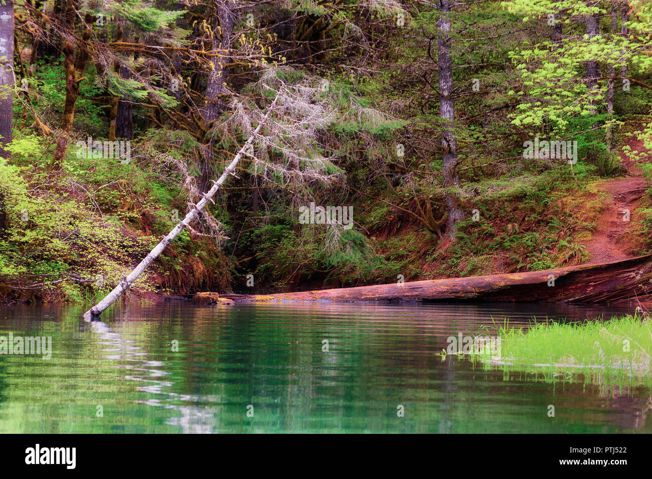 Hagg lake hires stock photography and images Alamy
