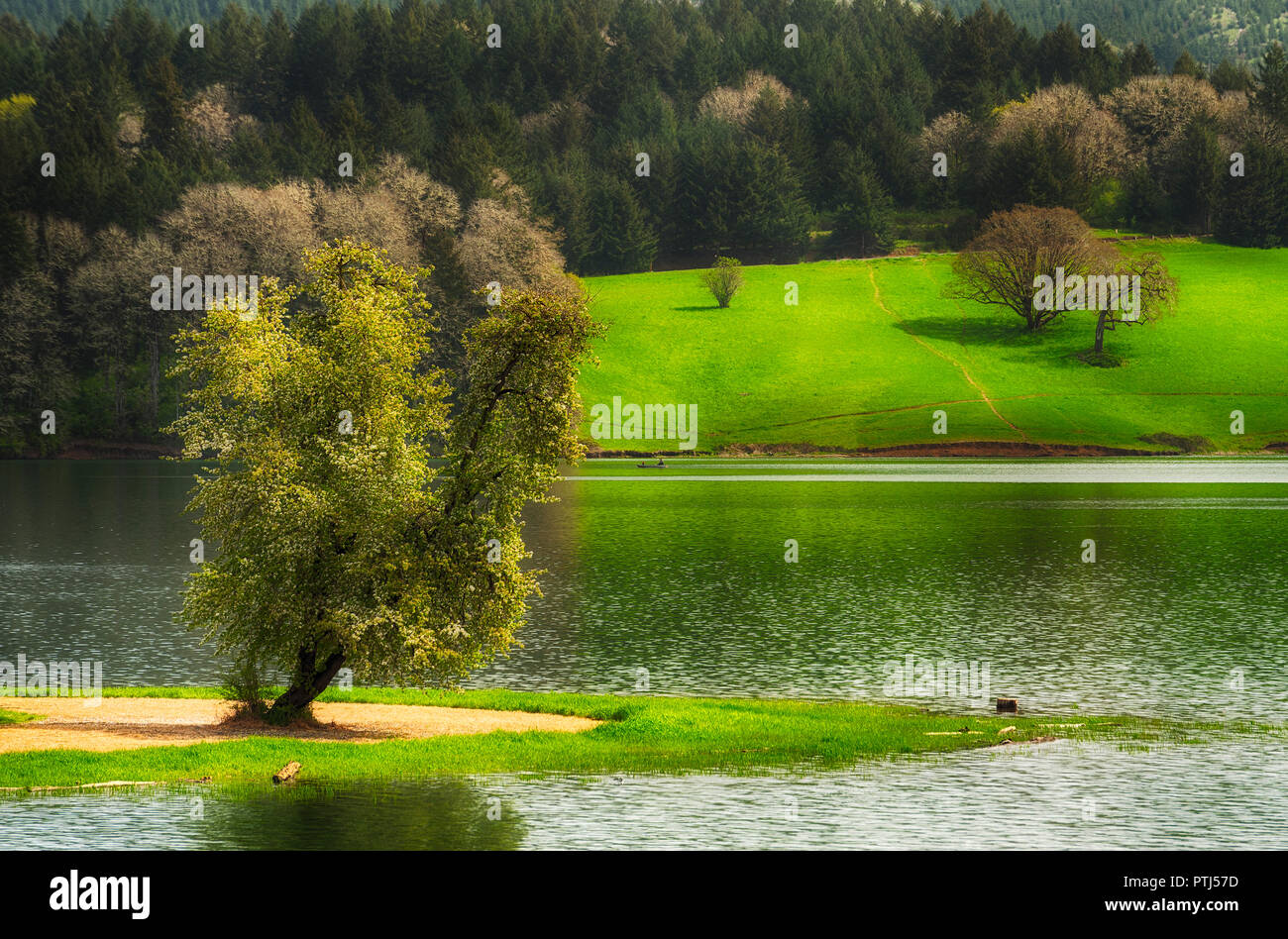 Hagg Lake in Gaston, Oregon.  A local favorite for recreational outdoor activities. Stock Photo