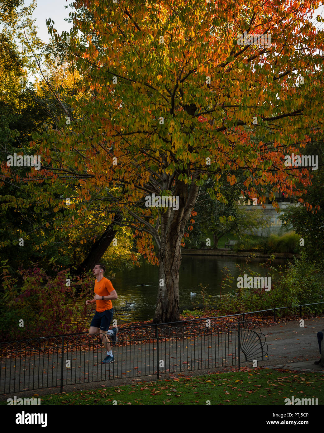 Running past tree hi-res stock photography and images - Alamy