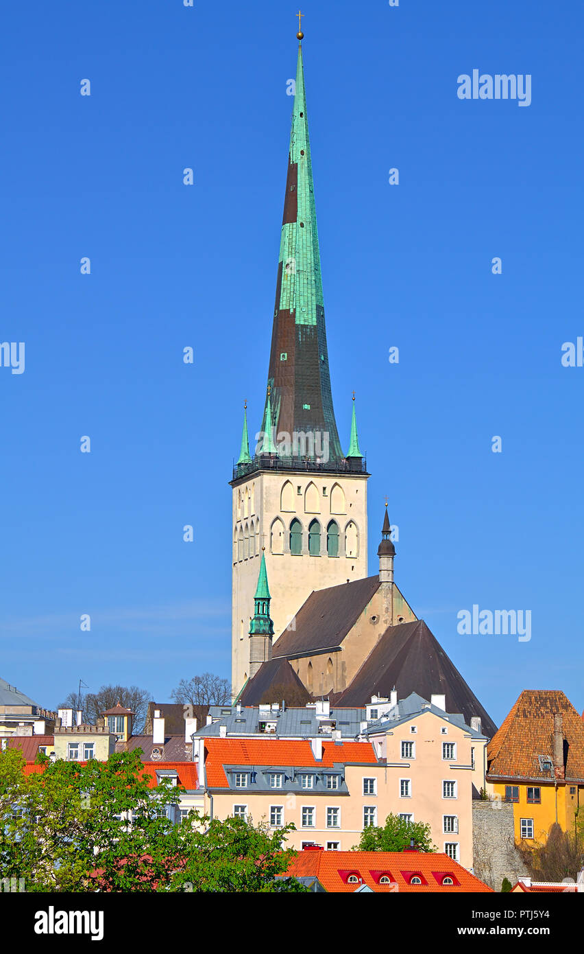 St. Olaf's church in Tallinn, Estonia. Sharp tower of the church with calm blue summer sky on the background. Some colorful buildings in the foregroun Stock Photo