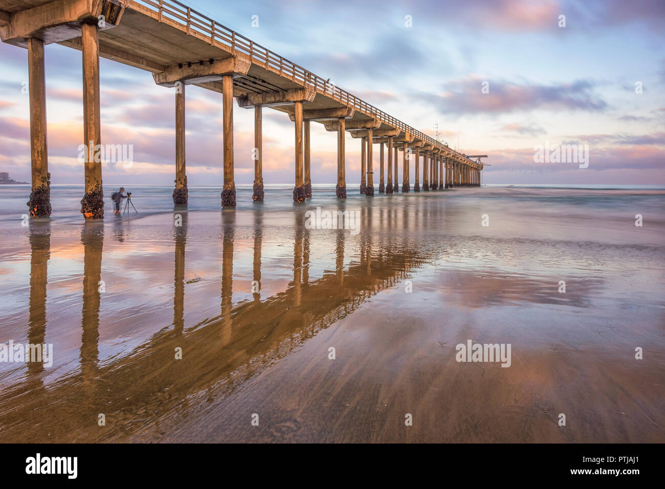 singles in san diego california