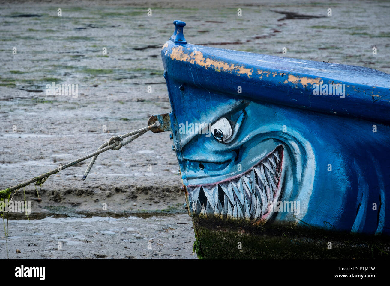 Shark decoration on a boat at Pin Mill in Suffolk. Stock Photo