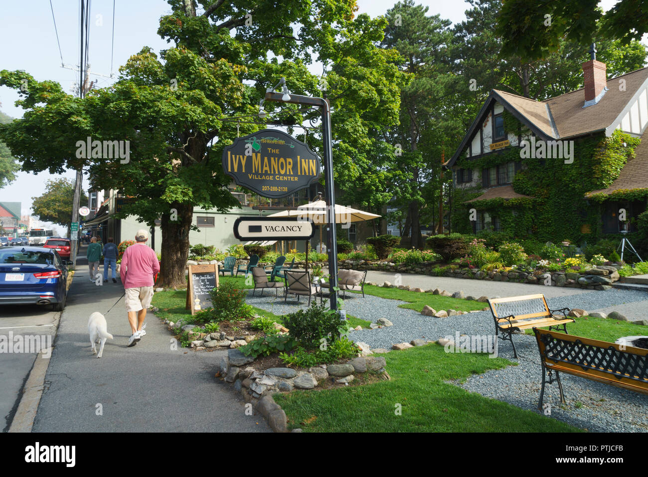 Man walking his dog, passing by the Ivy Manor Inn, Bar Harbor, Maine, USA. Stock Photo