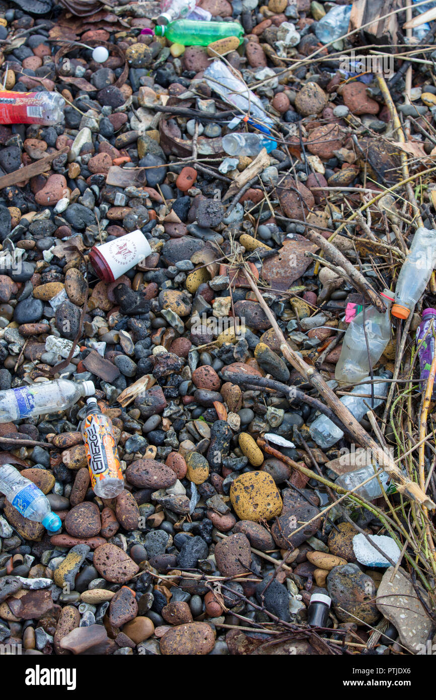 River Thames stone beach in London, GB. A large collection of plastic bottles polluting and contaminating the beach, water and fish life in the river. Stock Photo