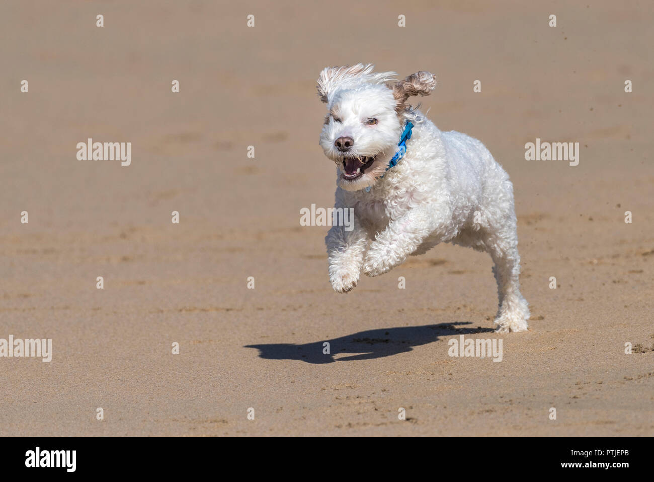 Playful exercise hi-res stock photography and images - Alamy