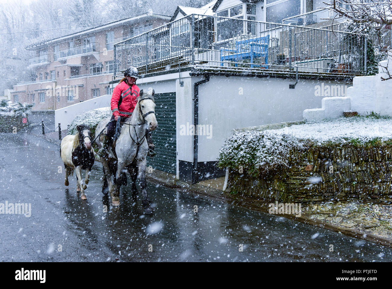 A horse rider riding her horse through heavy snowfall at Newquay in