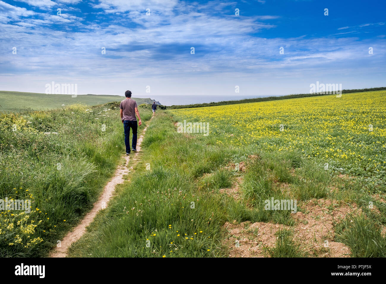People walking along a footpath in a field on West Pentire in Newquay in Cornwall. Stock Photo