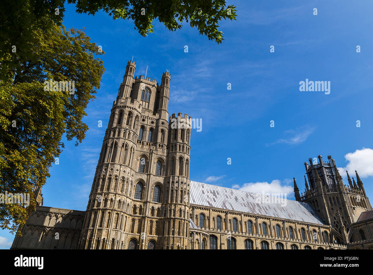 Ely Cathedral under the trees Stock Photo - Alamy
