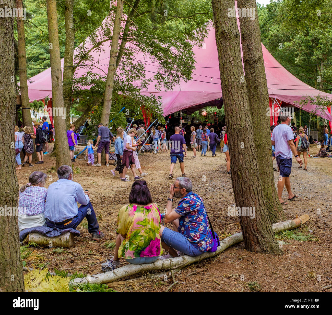 In the woods at the Latitude festival in Henham Park. Stock Photo