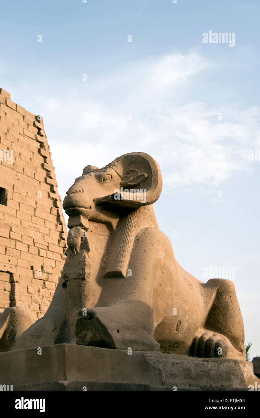 An avenue of ram-headed sphinxes leads to Karnak Temple, Luxor, Egypt. Stock Photo
