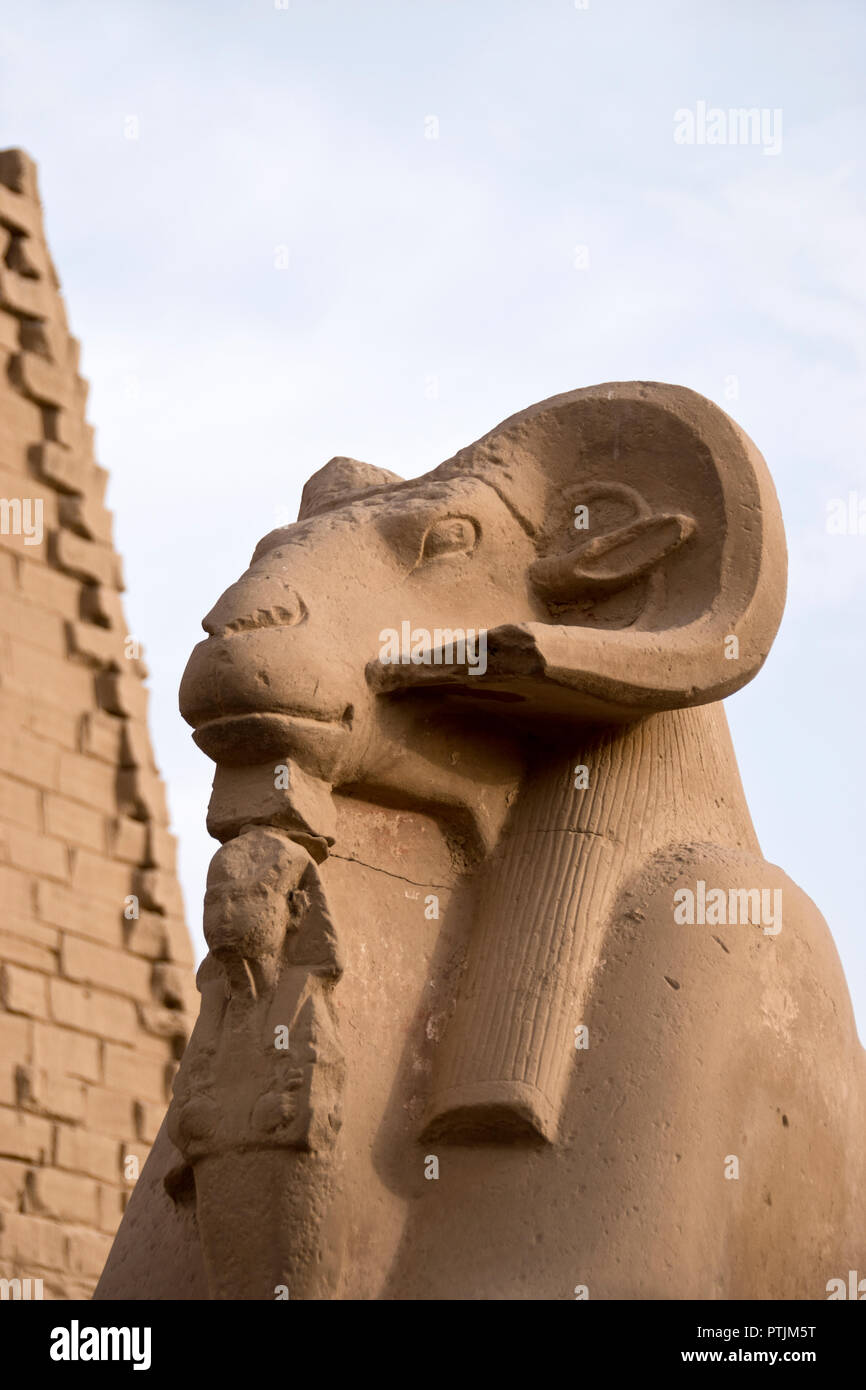 An avenue of ram-headed sphinxes leads to Karnak Temple, Luxor, Egypt. Stock Photo