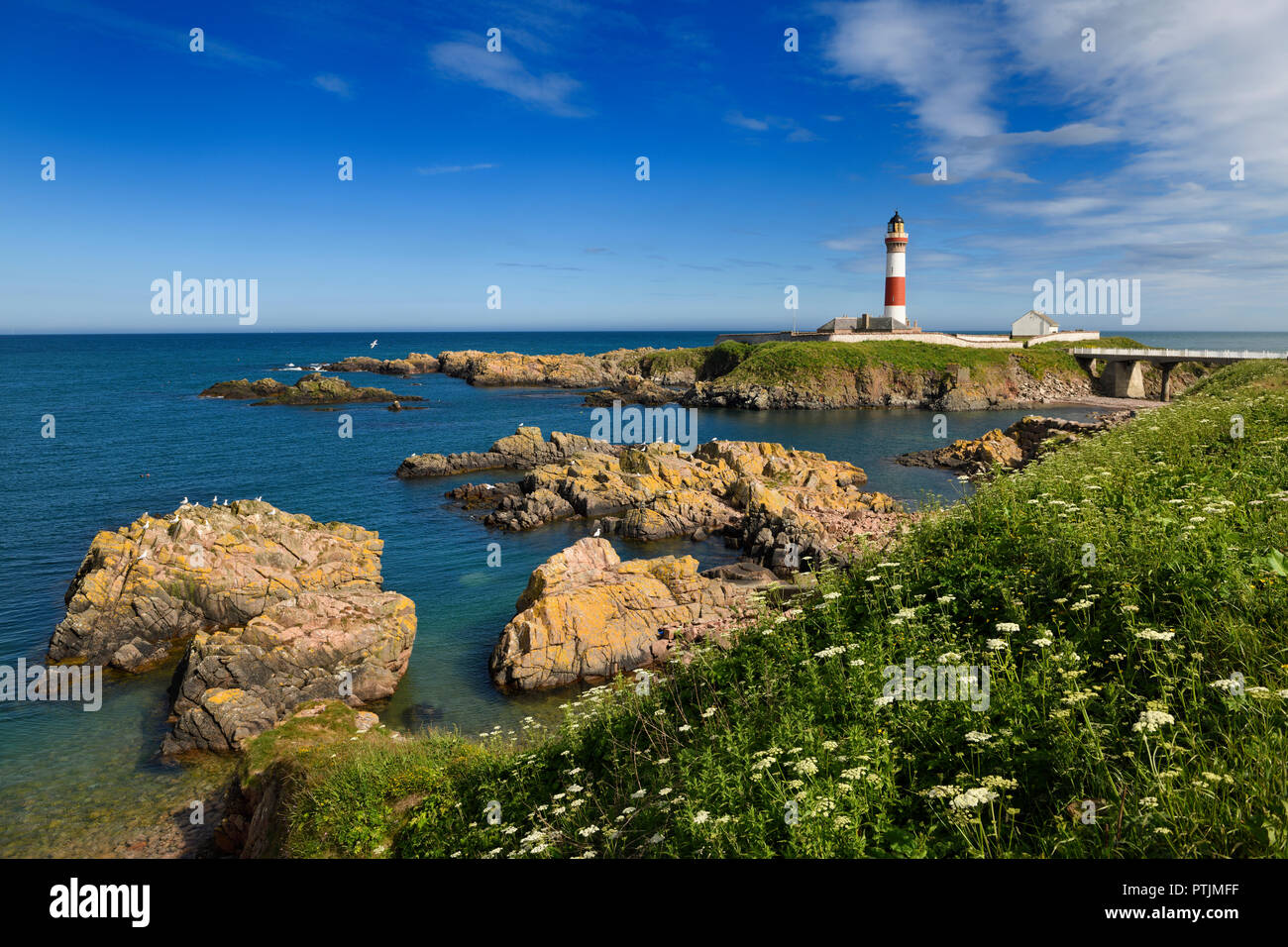 Rocks at Buchan Ness headland with red and white lighthouse at Boddam Aberdeenshire Scotland UK on the North Sea east coast Stock Photo