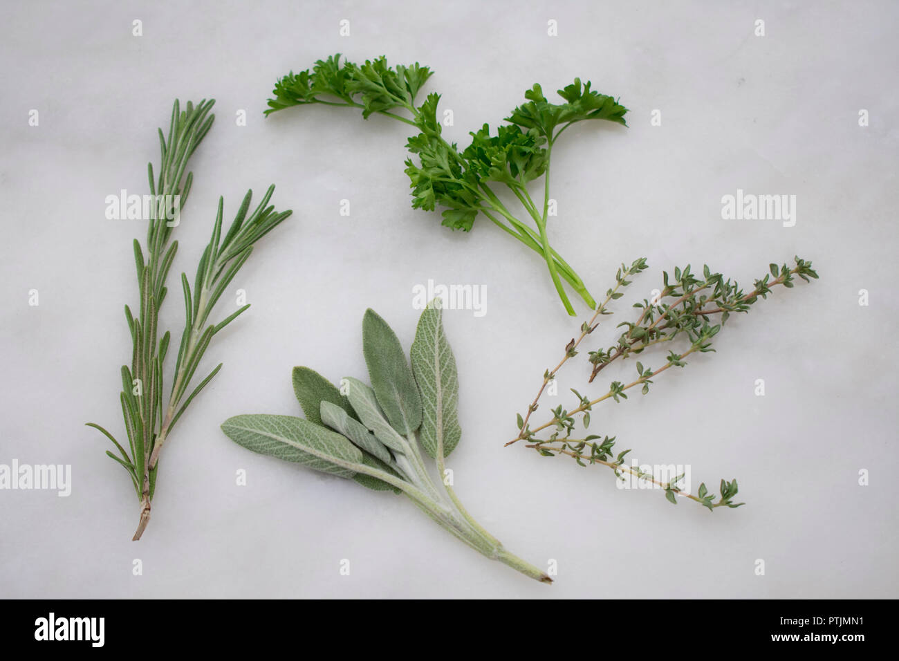 Fresh Herbs on a Marble Background Stock Photo