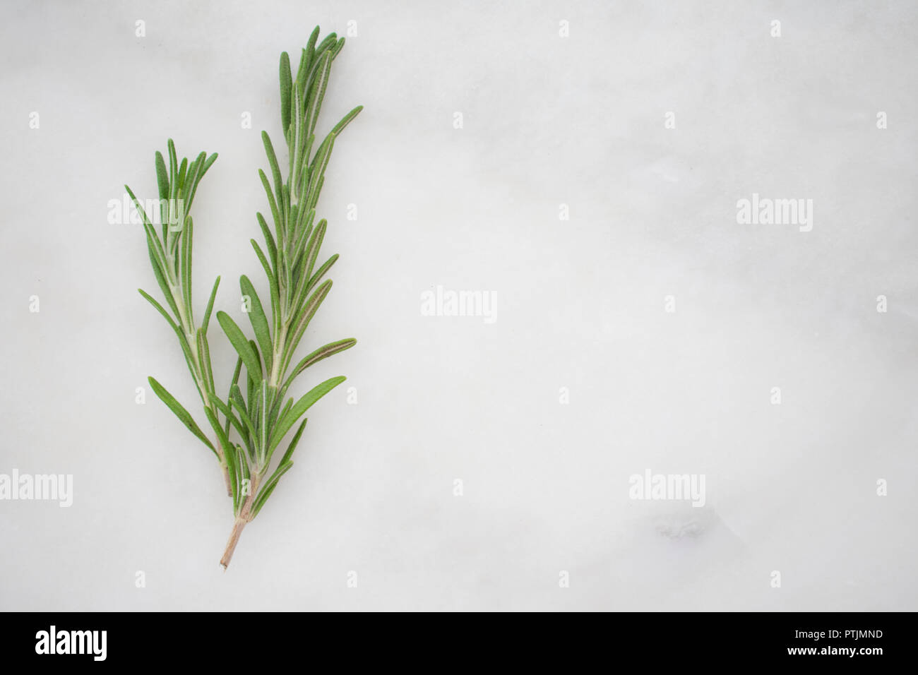 Rosemary Sprigs on a Marble Background Stock Photo
