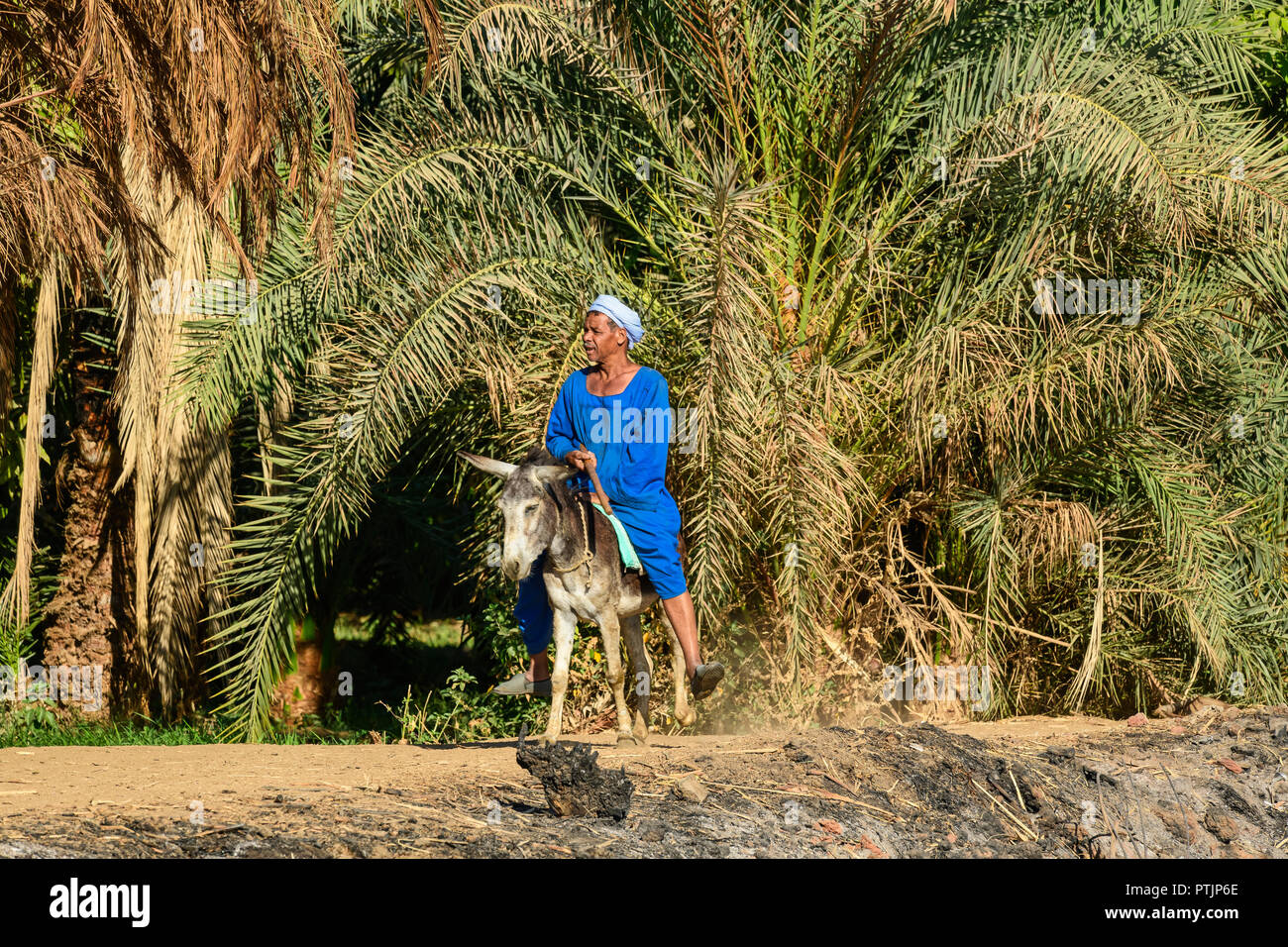 Nile river egypt irrigation hi-res stock photography and images - Alamy