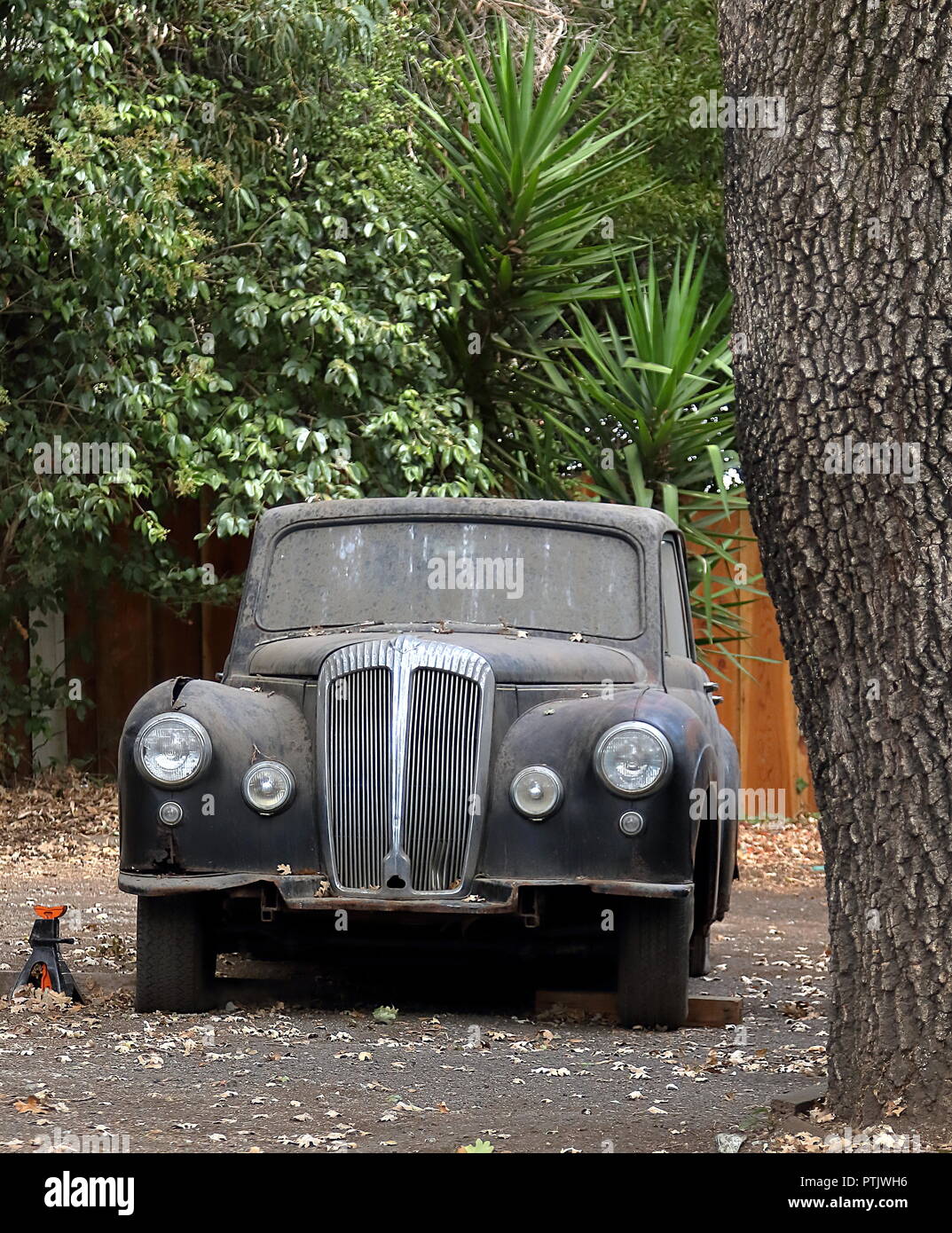 Abandoned junk car in woods hi-res stock photography and images - Alamy