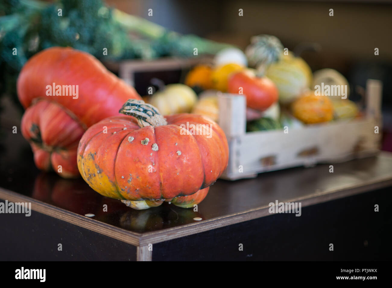 Autumn pumpkins in shopping hi-res stock photography and images - Alamy