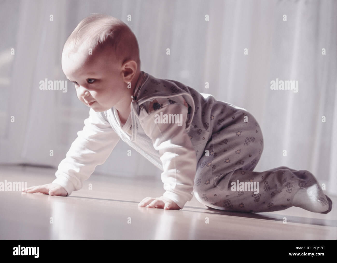 Baby Kleinkind Kind Krabbeln Krabbelt Boden Modellfreigabe