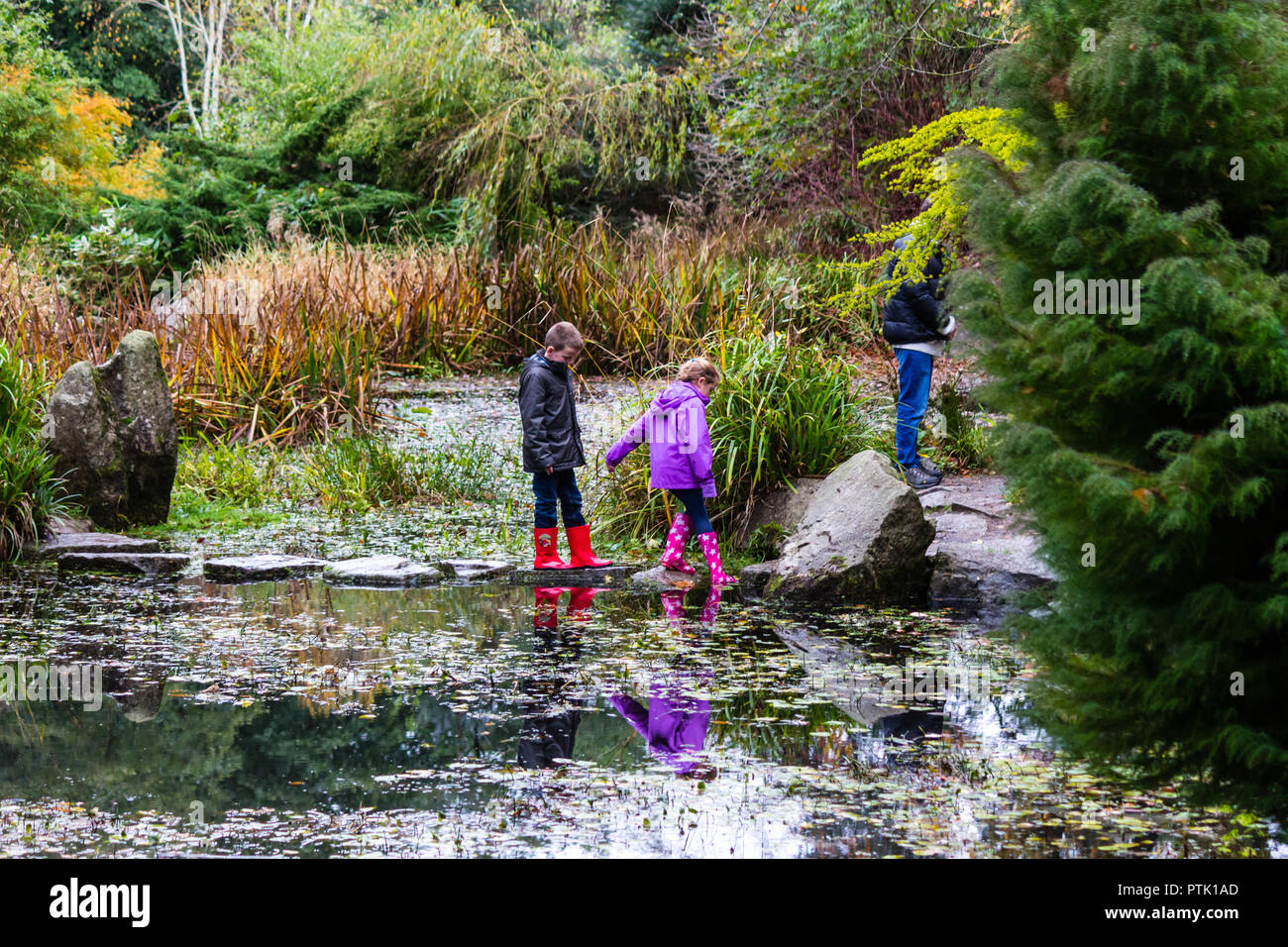 Children in raincoats and wellington boots (wellies) crossing stepping stones over a pond. Stock Photo