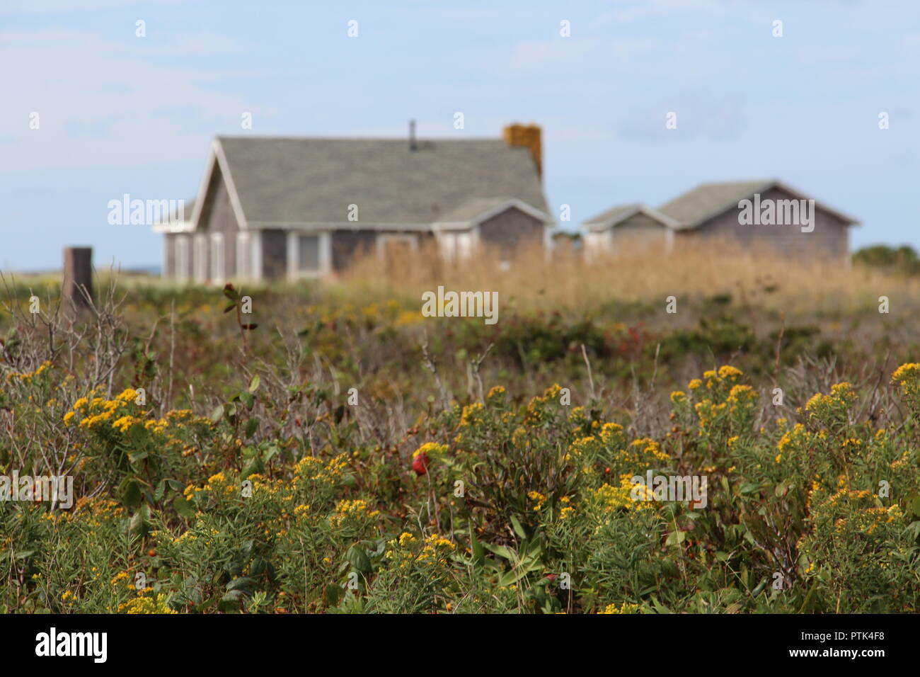 A farm house in America, field and trees. Stock Photo