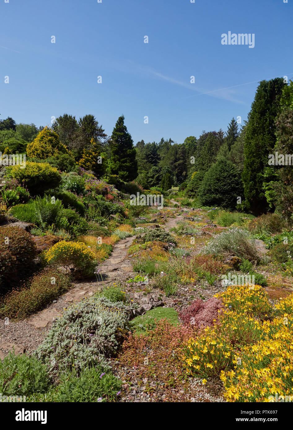 Looking down the Rock Garden Path in the St Andrews Botanic Gardens in