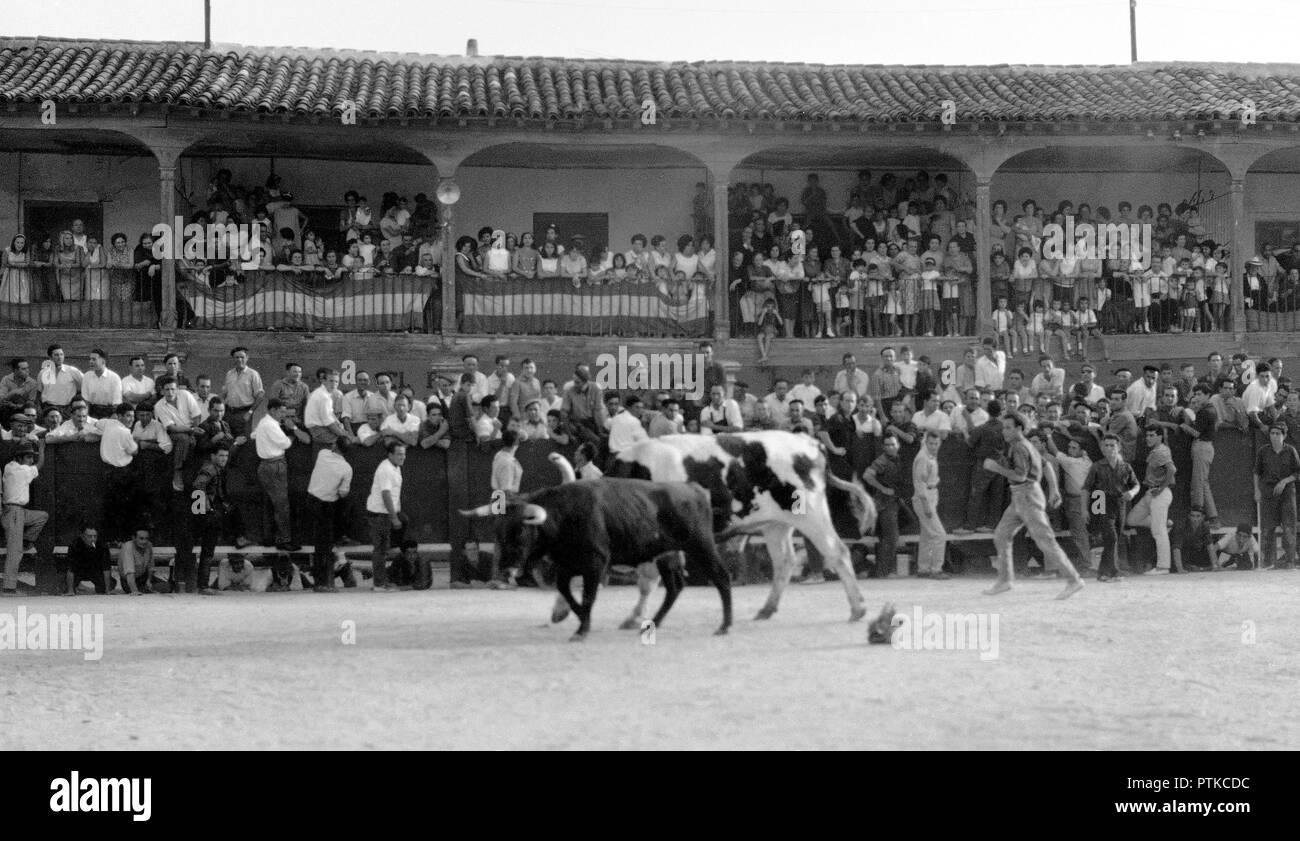 ENCIERRO EN LA PLAZA MAYOR DE COLMENAR DE OREJA - AÑOS 50 - ByN 40827. Location: HALLMARKT. MADRID. Stock Photo
