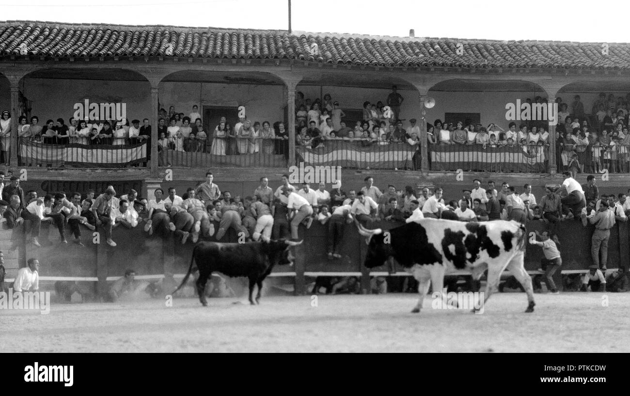 ENCIERRO EN LA PLAZA MAYOR DE COLMENAR DE OREJA - AÑOS 50 - ByN 40827. Location: HALLMARKT. MADRID. Stock Photo