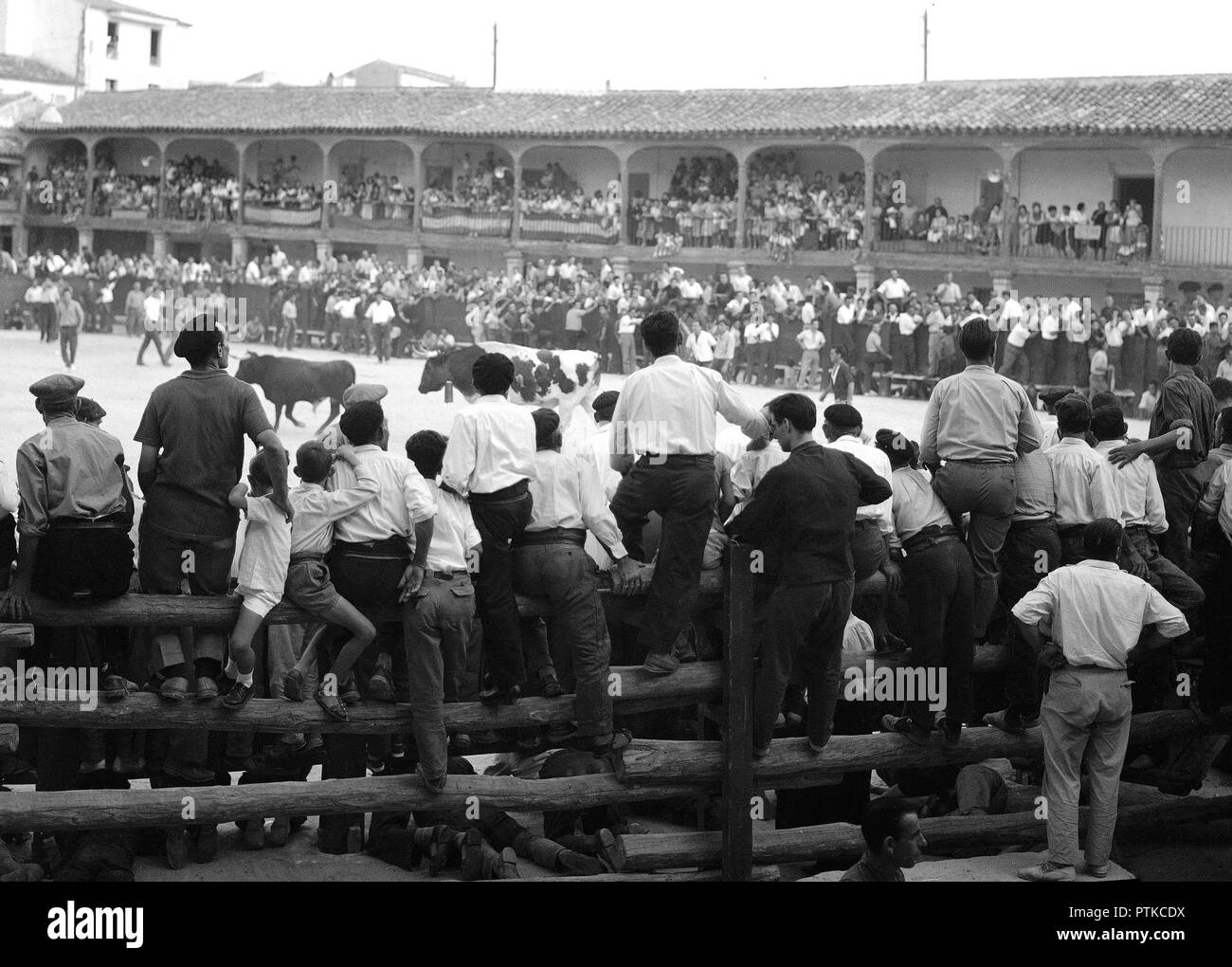 ENCIERRO EN LA PLAZA MAYOR DE COLMENAR DE OREJA - AÑOS 50 - ByN 40827. Location: HALLMARKT. MADRID. Stock Photo