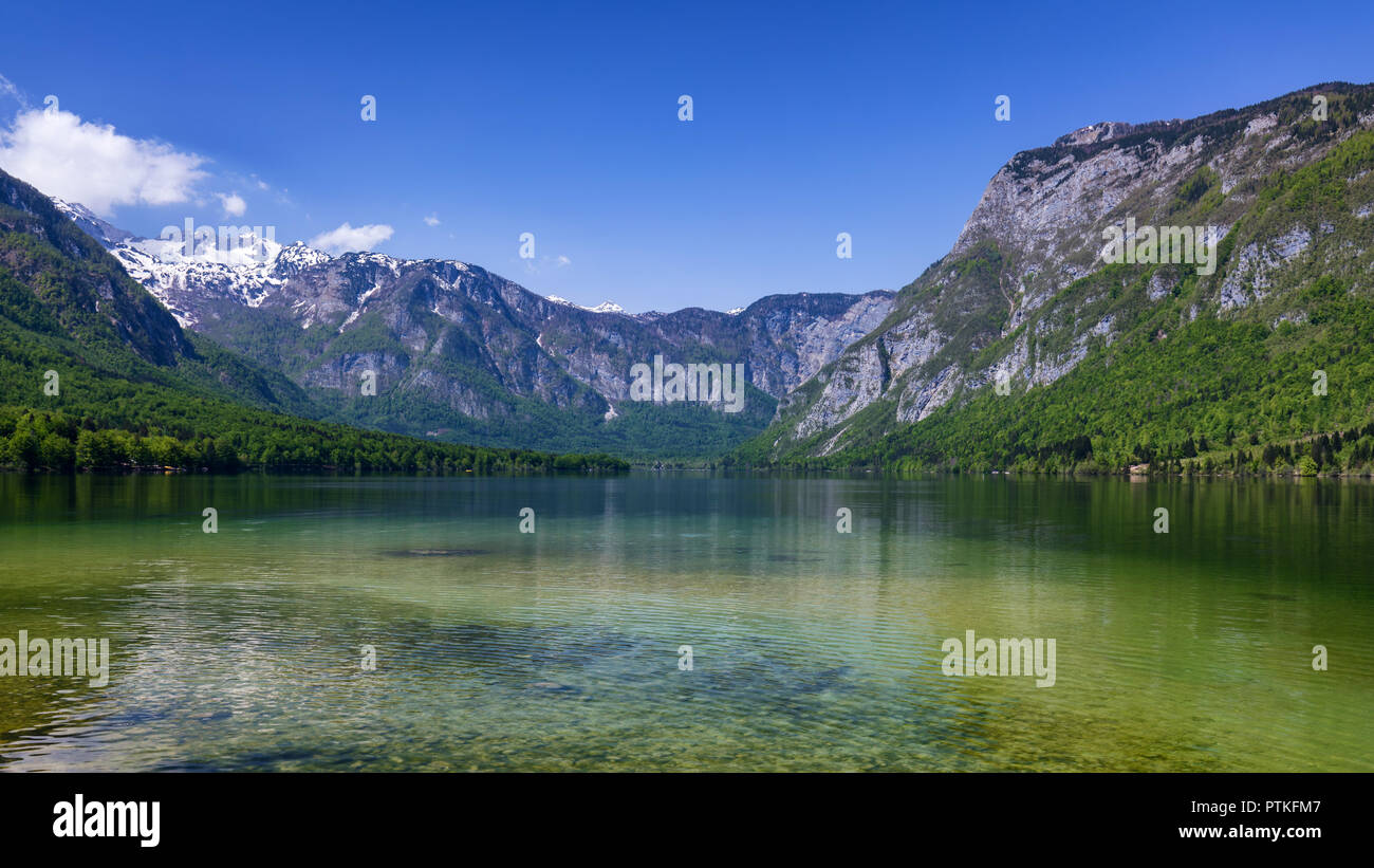 Lake Bohinj in Slovenia, beauty in nature. Colorful summer on the Bohinj lake in Triglav national park Slovenia, Alps, Europe. Mountain Lake bohinj in Stock Photo
