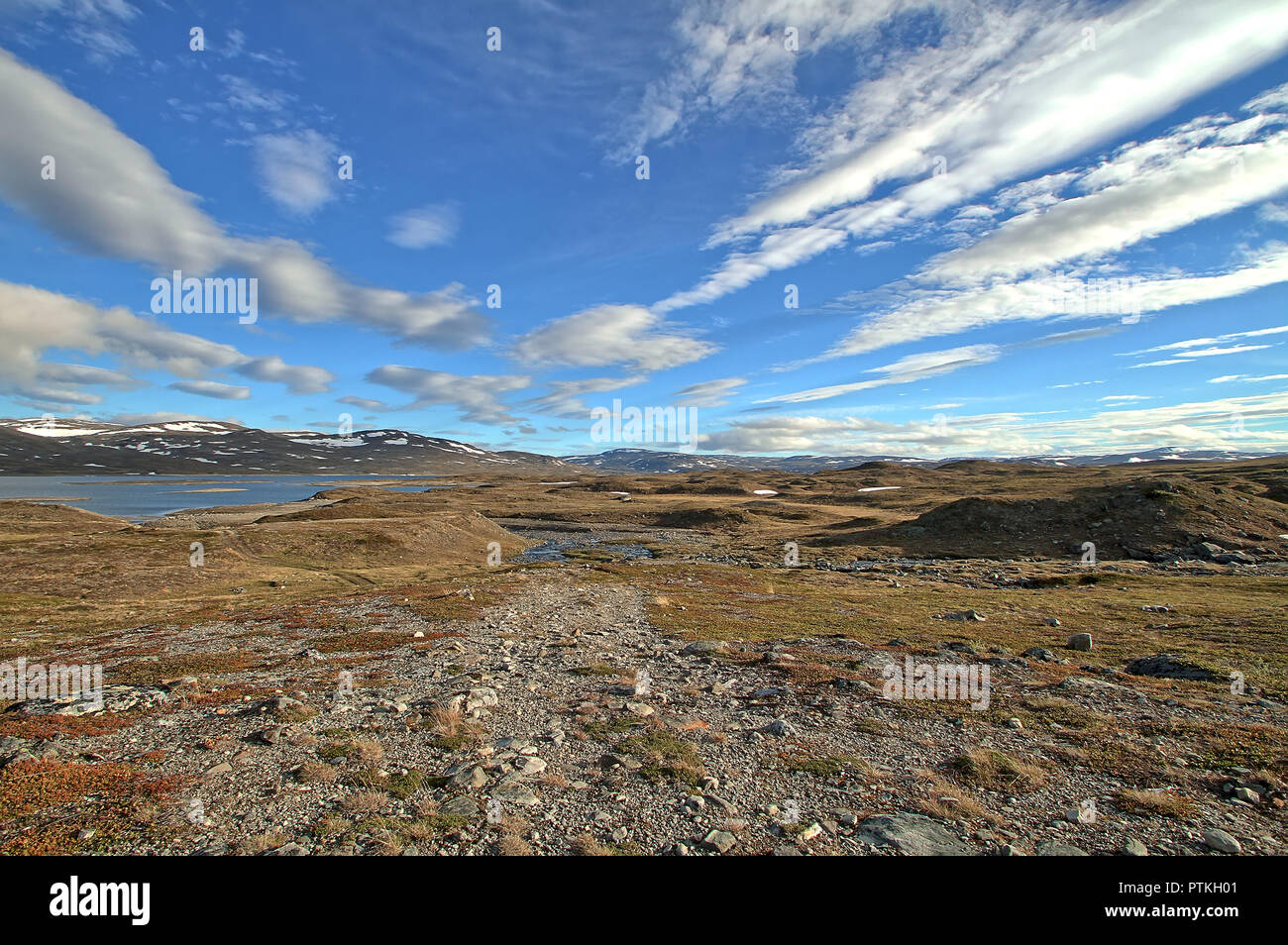 Arctic summer landscape at the high grounds of northern Norway during polar day when sun never