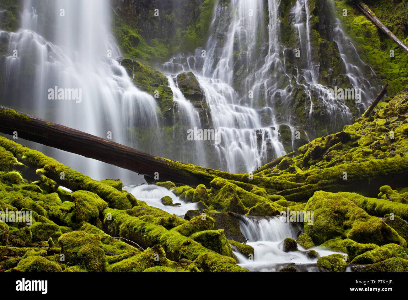 Proxy Falls in Oregon with mossy rocks and logs in the forest Stock Photo