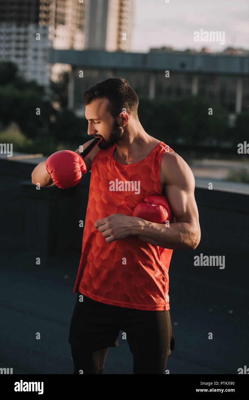 handsome sportsman tying boxing glove with teeth on roof Stock Photo