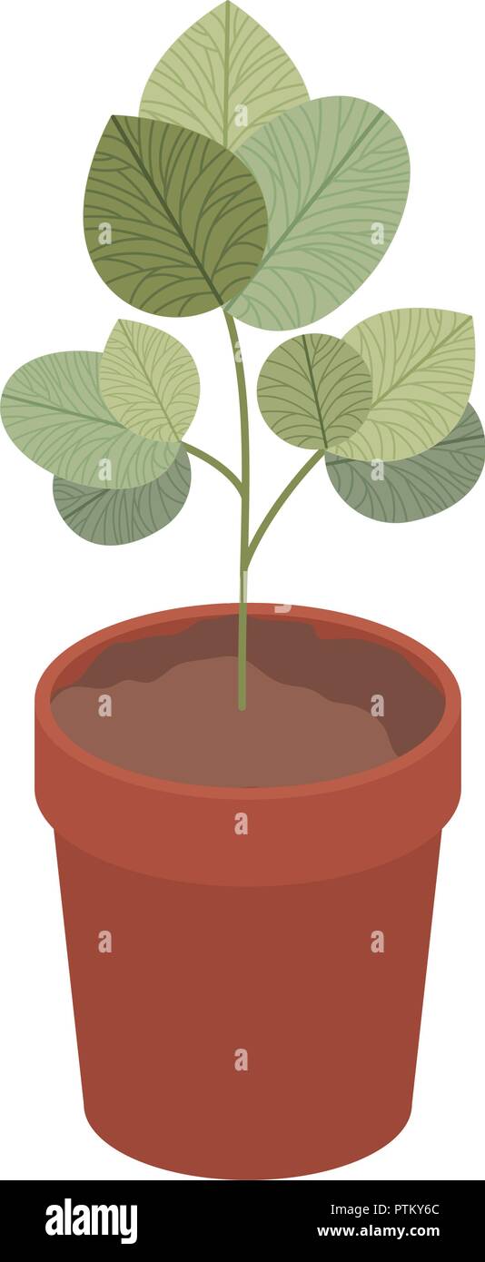 house plant pot isolated icon Stock Vector Image & Art - Alamy