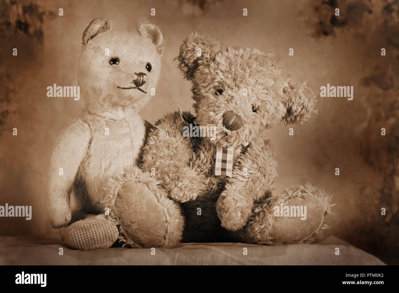 next teddy bear