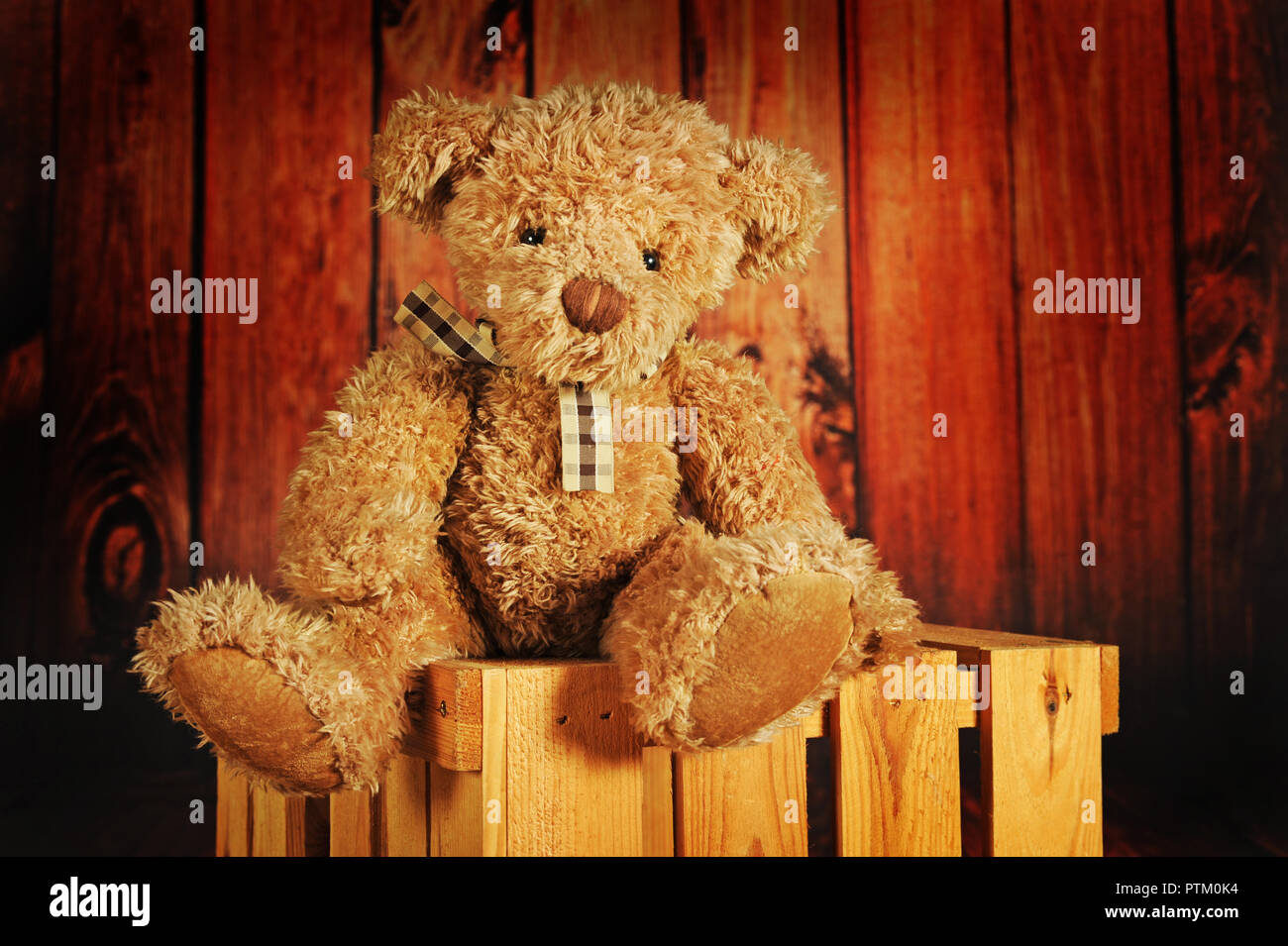 Teddy bear with brown plaid bow on wooden box, Austria Stock Photo