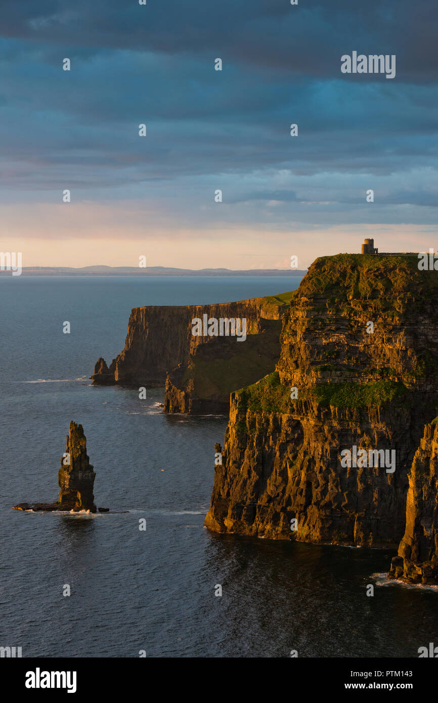 Cliffs of Moher, cliffs in the evening light, cliffs, Clare, Ireland Stock Photo