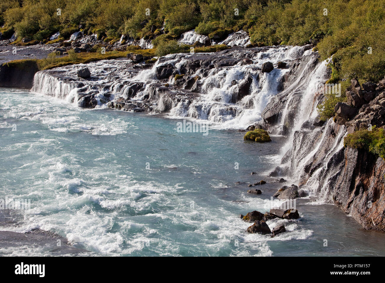 Waterfall Hraunfossar with the blue river Hvitá, West Iceland, Iceland Stock Photo