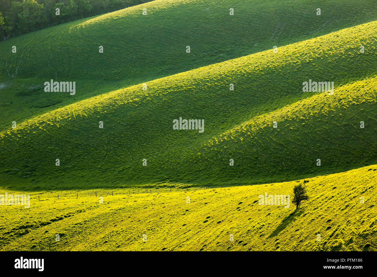 Spring sunrise in South Downs National Park. Stock Photo
