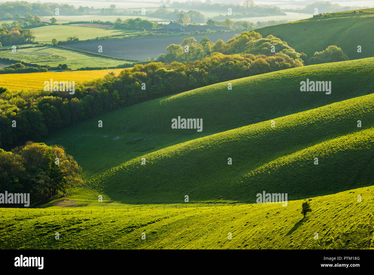 Spring sunrise in South Downs National Park. Stock Photo