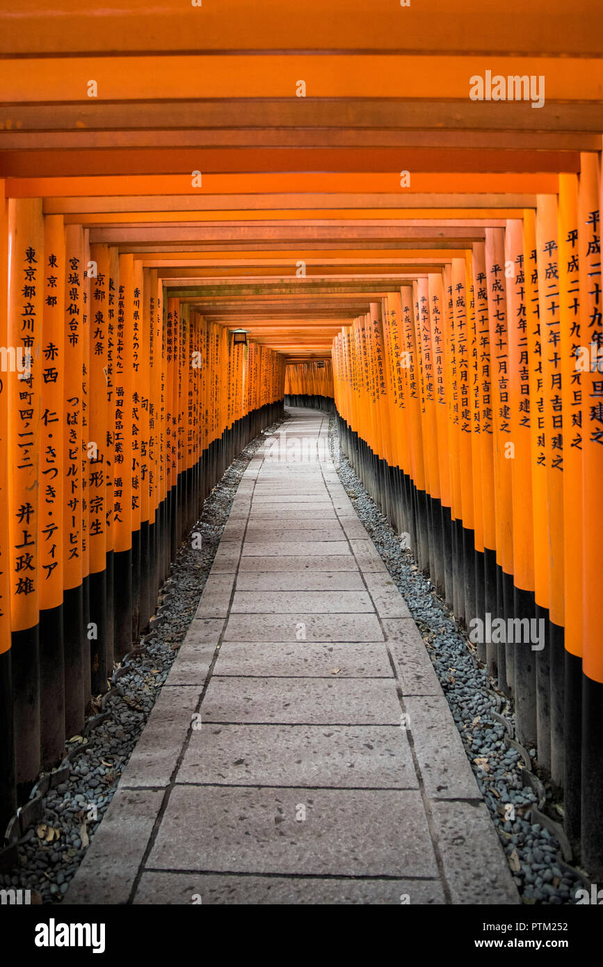 The brightly painted vermilion gates of the Fushimi Inari Taisha shrine in Kyoto in Japan. Stock Photo