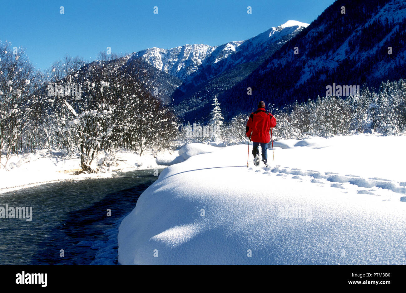 Man hiking in virgin snow, Sylvenstein, Bavaria Germany Stock Photo