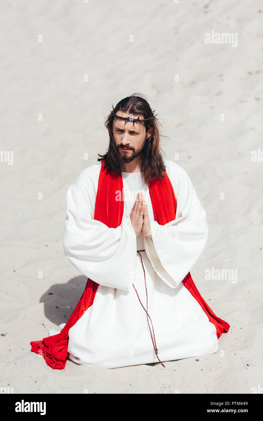 Christ in the red robe and the crown of thorns Christ in the red robe and the crown of thorns